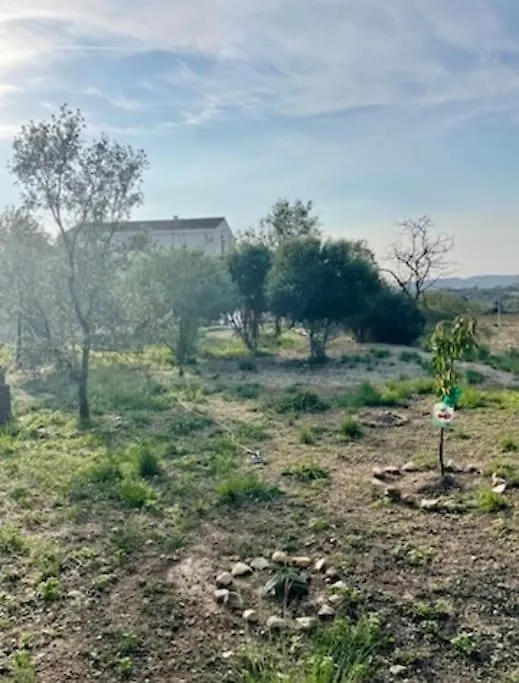 Masia Entre Vinedos Y Mar Saifores